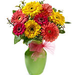 This bouquet is made of mixed bright Gerberas and quality foliage.  A Bright and...