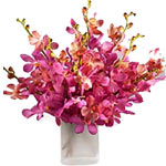 Orchids are exotic and when they come in pink they ooze royalty! Gift a bunch of...