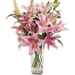 Pink lilies are timeless. By sending this 10 stems of lilies show them you have ...