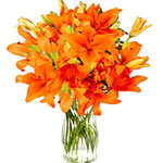 Congratulate someone special by sending these stems of orange lilies and appreci...