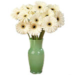 Send the softness and beauty of these flowers and warm someones  heart. These wh...