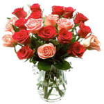 Vase of beautiful red and pink roses for your love...