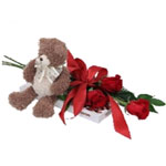 Sweet Teddy And Bunch Of Red Roses