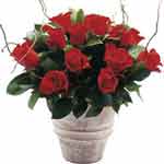 Red Roses Arrangement (pottery vase included)