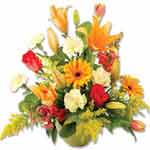 Send Flowers To Antigua