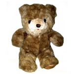 Medium Size Teddy Bear