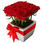This fine arrangement has one dozen roses and decorated with a ribbon....