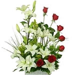 This arrangement transmits purity and is composed by a dozen white lilies and 7 ...