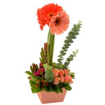 This arrangement in peach colors is decorated with daisies and roses white fine ...