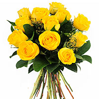 Exotic Yellow Roses with Warmth and Happiness