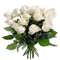 Blooming 18 White Roses of Purity and Youthfulness