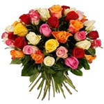 Distinctive Multicolored 24 Rose Blooms with Honorable Intentions