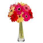 Beautiful Rainbow Flowers Vase