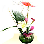 Luminous Lilies Arrangement