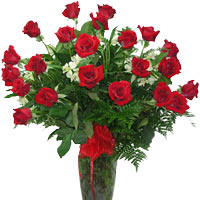 Majestic Red Roses