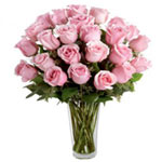 Blossoming 24 Pink Roses