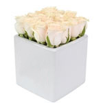 Rose Cube White 16