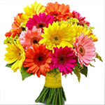 GORGEOUS GERBERAS BOUQUET 12 SPECIAL