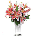 Celebrate Lilies