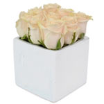 The Rose Cube white is one of our most recent additions to the Roses Only gift r...