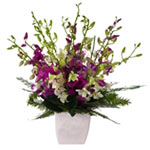 An extravagant tower of Singapore orchids in a vibrant magenta shade, this gorge...