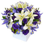 A truly lovely floral gift - our Sweet Violet design boasts an eye catching sele...