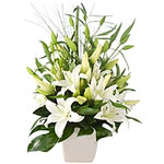 One of our most eye catching floral gifts, the Delightful White design is simpli...