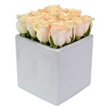 Rose Cube White 16