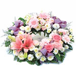 A captivating a whisper of elegance consisting of quality chrysanthemums, carnat...