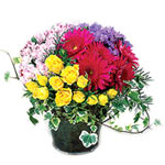 Pot Arrangement of Mixed Grouped Flowers in Bright Colours....