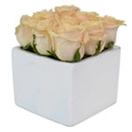 ROSE CUBE WHITE 9