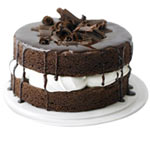 Rich Creamy Chocolate cake