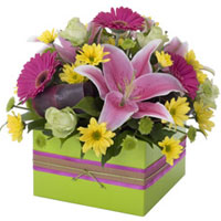 Romantic Collection of Multiple Flowers in a Box<br><br>