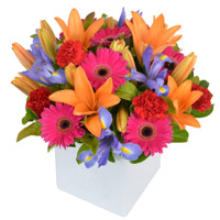 Sweetest Composition of Mixed Flowers in a Pot<br><br>