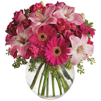 Expressive Bunch of Pink Color Seasonal Flowers in Vase