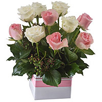 Beautiful Box Arrangement of Mixed Pastel Shade Roses