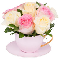 Color-Coordinated Display of Pink and White Roses in Tea Cup