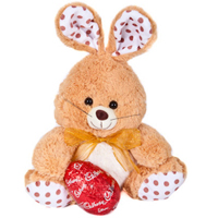 Enthrall the people close to your heart by sending them this Precious Soft Bunny...