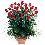 This enormous arrangement boasts 24 stunning red r...
