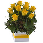 Breathtaking Yellow Rose Box with Elegance
