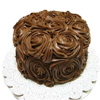 Chocolate-Coated Dark Chocolate Cake