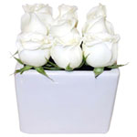 ROSE CUBE WHITE 9