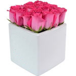 Rose Cube Pink 16