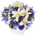 A truly lovely floral gift - our Sweet Violet desi......  to East Torrens
