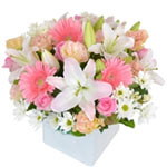 A stunning boxed display that combines beautiful p......  to Canberra