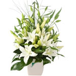 One of our most eye catching floral gifts, the Del......  to Ipswich