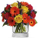 Make a splash! Orange gerberas, yellow roses and h......  to Illawarra