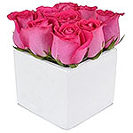 The Rose Cube Pink is one of the newest additions ......  to Bankstown