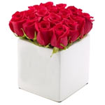 The Rose Cube is the newest addition to the Roses ......  to Port Hedland