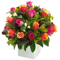 Send with your love to your dear ones, this Enchan......  to Adelaide